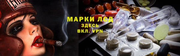 ГАЛЛЮЦИНОГЕННЫЕ ГРИБЫ Арсеньев