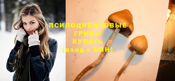 ГАЛЛЮЦИНОГЕННЫЕ ГРИБЫ Арсеньев