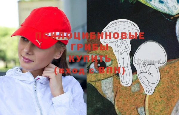 ГАЛЛЮЦИНОГЕННЫЕ ГРИБЫ Арсеньев