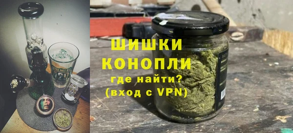ГАЛЛЮЦИНОГЕННЫЕ ГРИБЫ Арсеньев