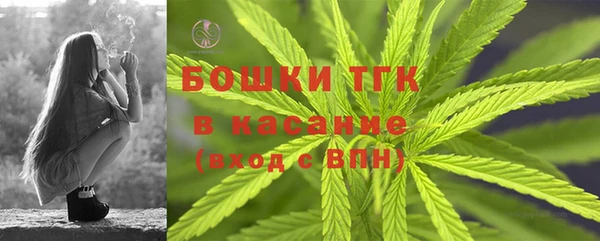 ECSTASY Армянск