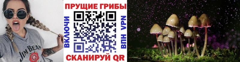 Псилоцибиновые грибы Psilocybine cubensis  ссылка на мегу онион  Салават 