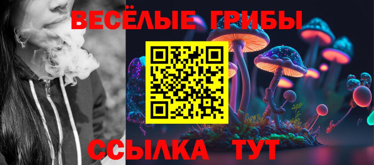 где продают   Псилоцибиновые грибы Psilocybe  Вход с VPN  Салават 